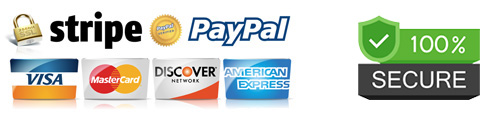 paypal stripe secure payment icon